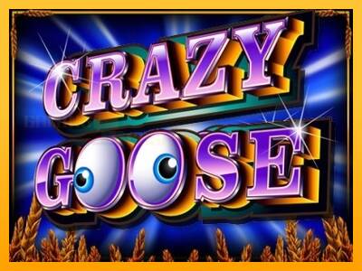 Crazy Goose игрална машина за пари