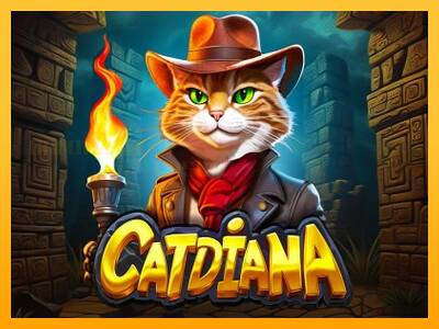 Catdiana игрална машина за пари