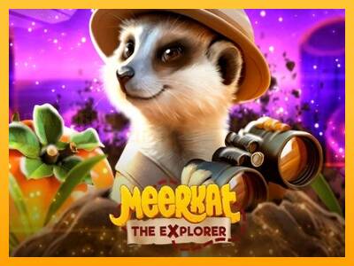 Meerkat игрална машина за пари