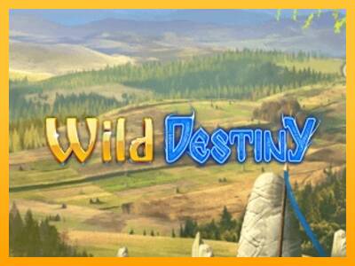 Wild Destiny игрална машина за пари