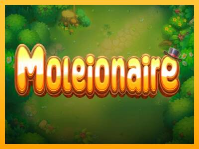 Moleionaire игрална машина за пари