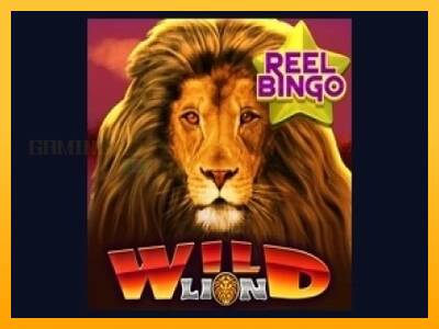 Wild Lion with Reel Bingo игрална машина за пари