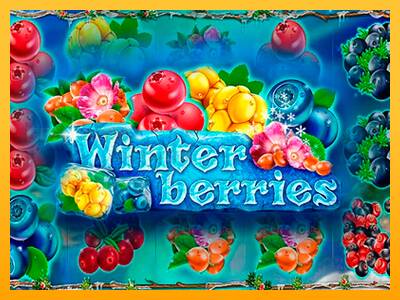 Winterberries игрална машина за пари