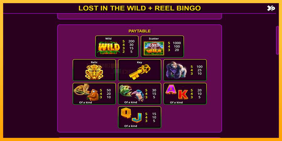 Lost in the Wild with Reel Bingo игрална машина за пари, снимка 6