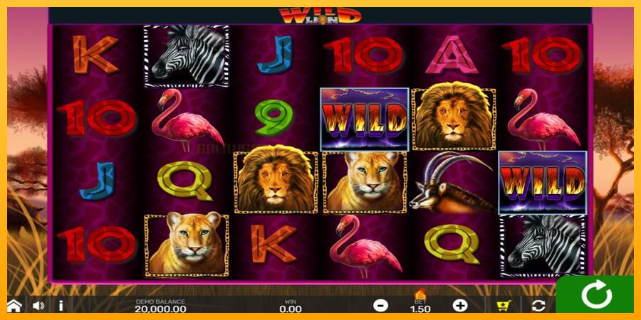 Wild Lion with Reel Bingo игрална машина за пари, снимка 1