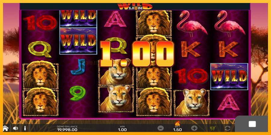 Wild Lion with Reel Bingo игрална машина за пари, снимка 2