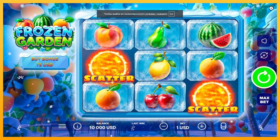 Frozen Garden игрална машина за пари, снимка 1