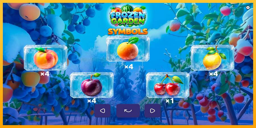 Frozen Garden игрална машина за пари, снимка 6