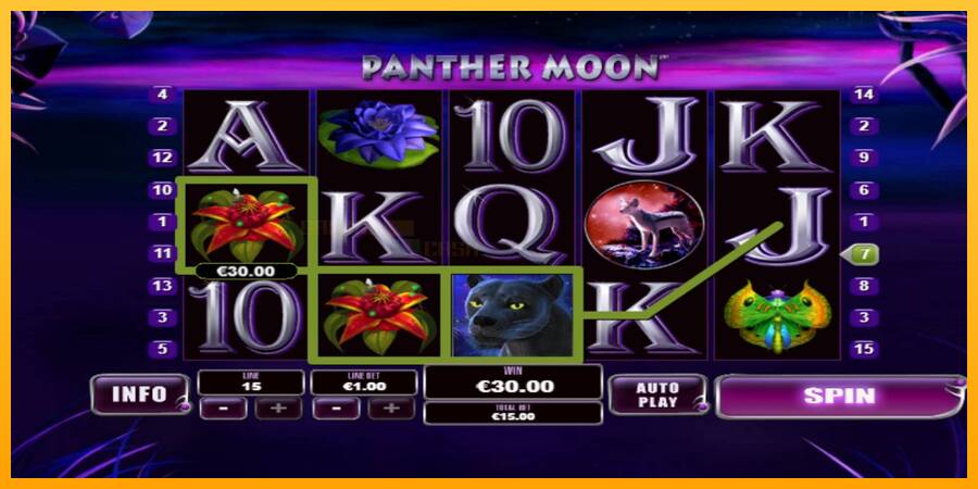 Panther Moon игрална машина за пари, снимка 2