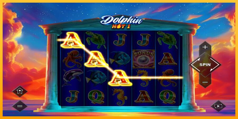 Dolphin Hot 1 игрална машина за пари, снимка 3