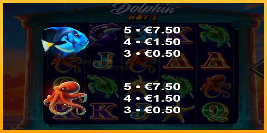 Dolphin Hot 1 игрална машина за пари, снимка 5