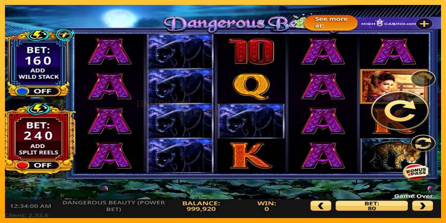 Dangerous Beauty Power Bet игрална машина за пари, снимка 2