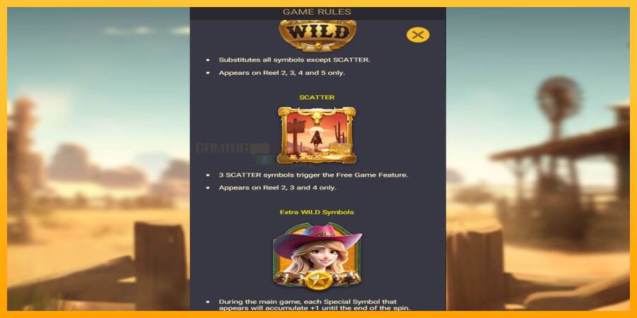 Gold West игрална машина за пари, снимка 4