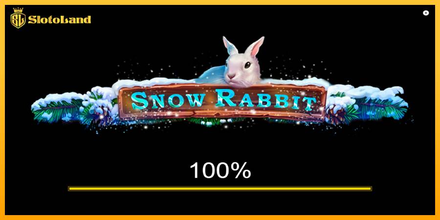 Snow Rabbit игрална машина за пари, снимка 1