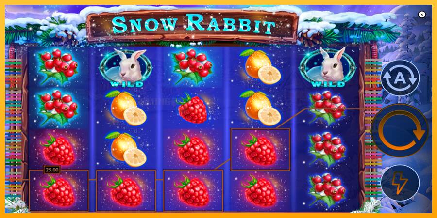 Snow Rabbit игрална машина за пари, снимка 4