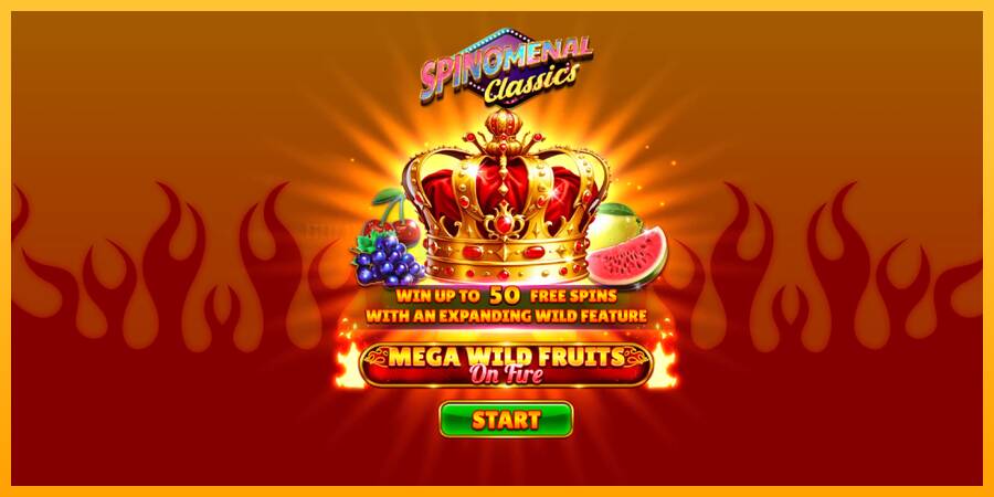 Mega Wild Fruits - On Fire игрална машина за пари, снимка 1