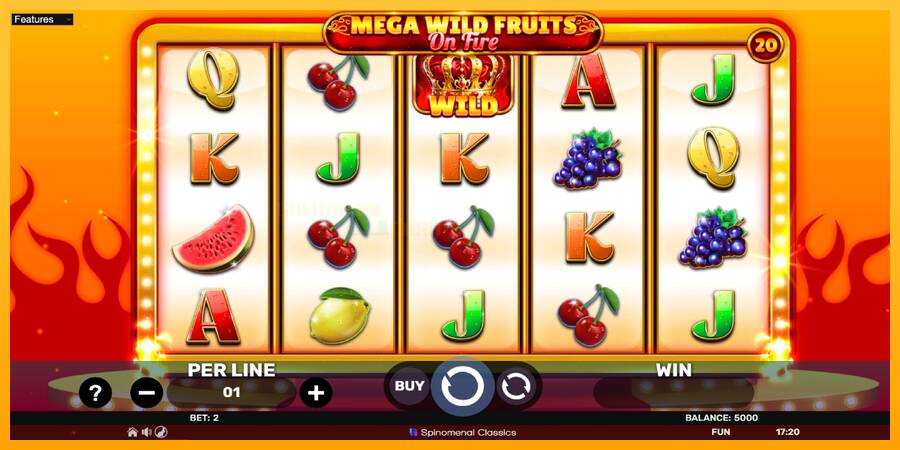 Mega Wild Fruits - On Fire игрална машина за пари, снимка 2