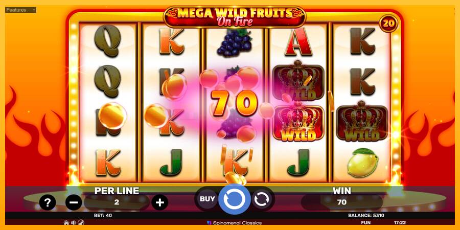 Mega Wild Fruits - On Fire игрална машина за пари, снимка 4