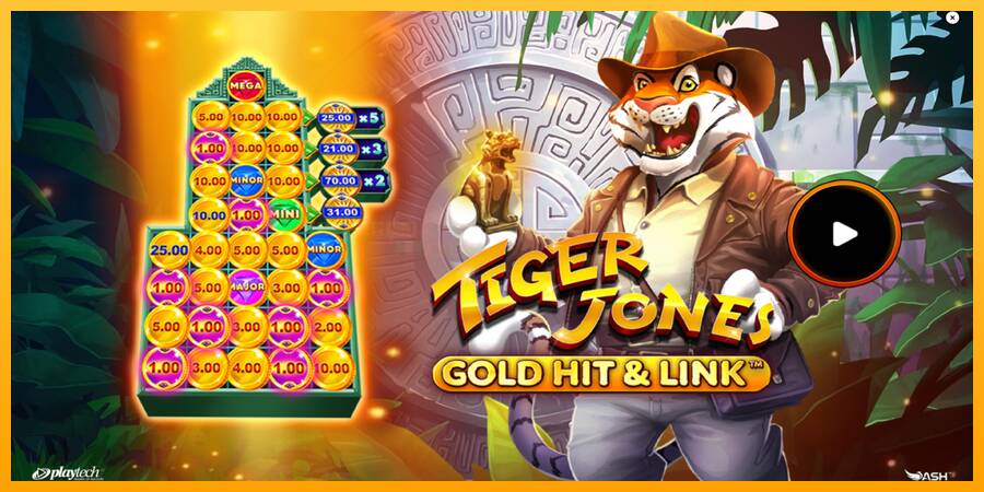 Gold Hit & Link: Tiger Jones игрална машина за пари, снимка 1