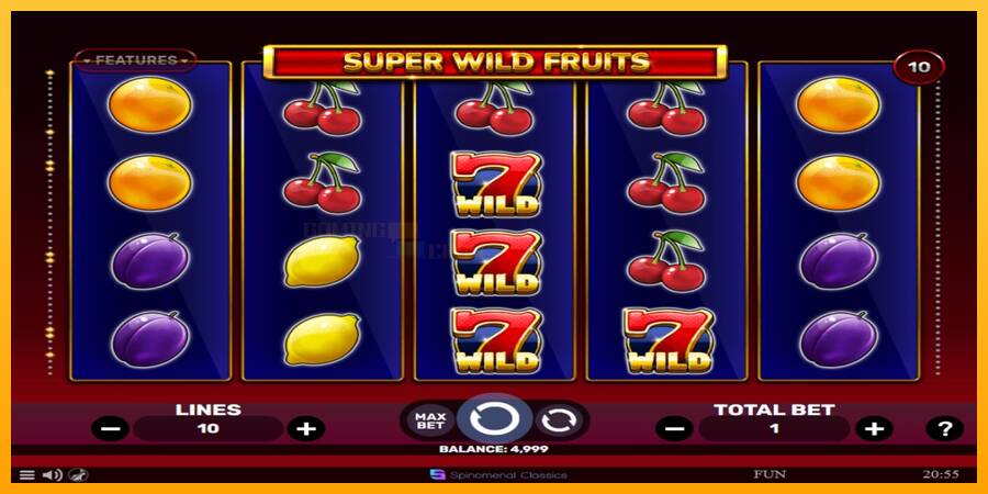 Super Wild Fruits игрална машина за пари, снимка 1