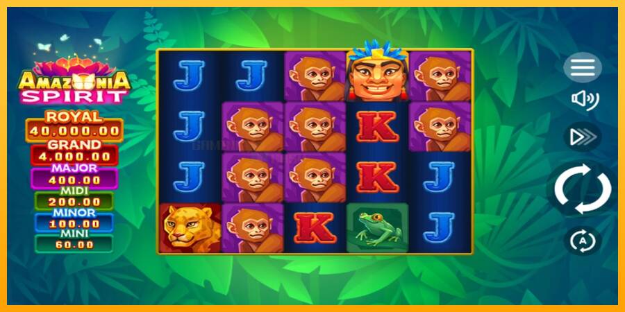 Amazonia Spirit игрална машина за пари, снимка 1