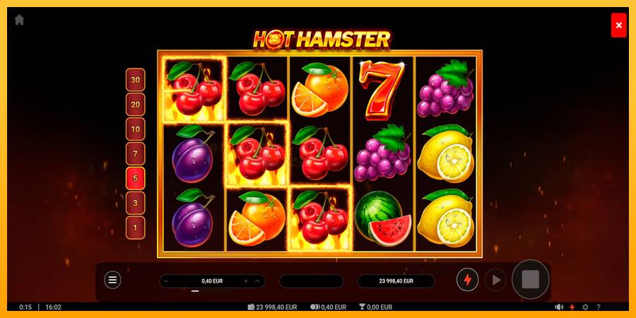 Hot Hamster игрална машина за пари, снимка 2