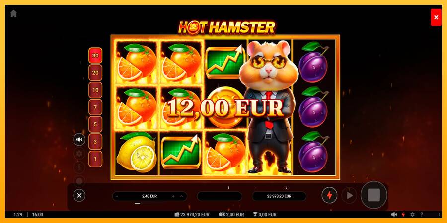 Hot Hamster игрална машина за пари, снимка 5