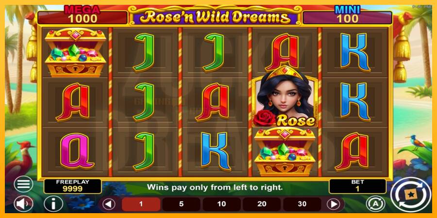 Rose’n Wild Dreams Hold & Win игрална машина за пари, снимка 2