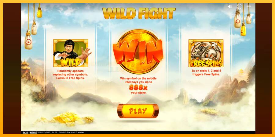 Wild Fight игрална машина за пари, снимка 1