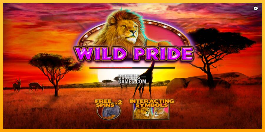 Wild Pride игрална машина за пари, снимка 1