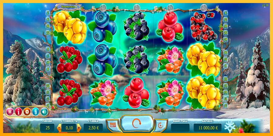 Winterberries игрална машина за пари, снимка 1