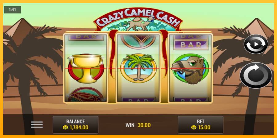 Crazy Camel Cash игрална машина за пари, снимка 4