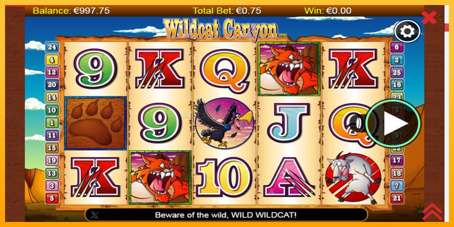 Wildcat Canyon игрална машина за пари, снимка 1