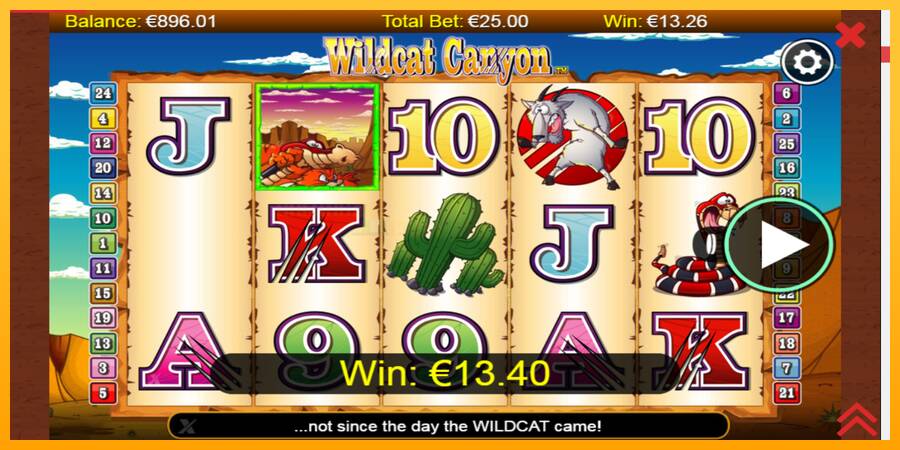 Wildcat Canyon игрална машина за пари, снимка 4