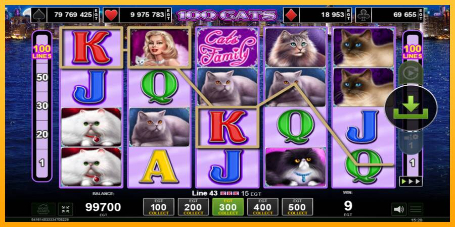 100 Cats игрална машина за пари, снимка 2