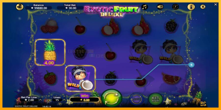 Exotic Fruit Deluxe игрална машина за пари, снимка 3