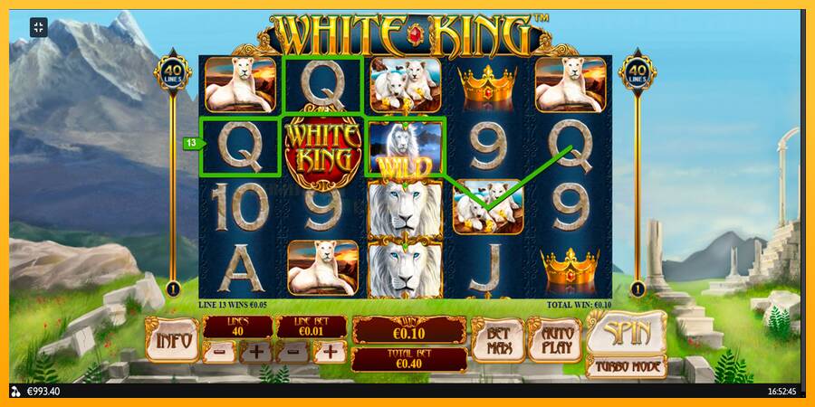 White King игрална машина за пари, снимка 8