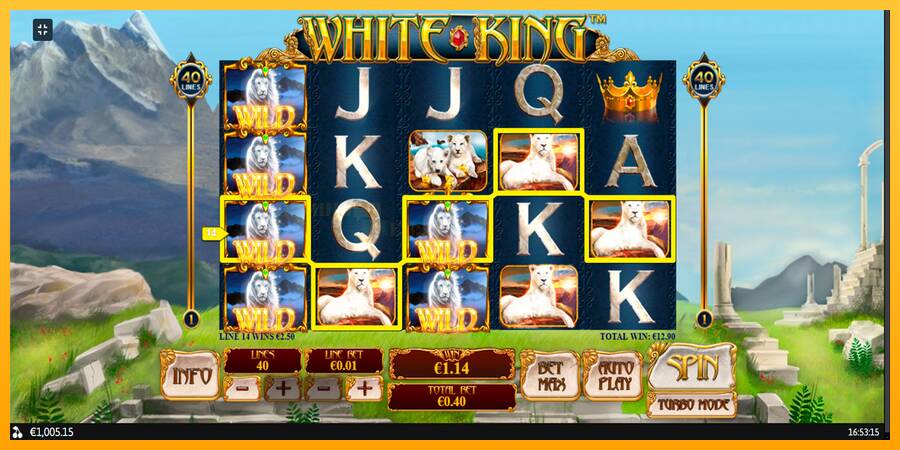 White King игрална машина за пари, снимка 11