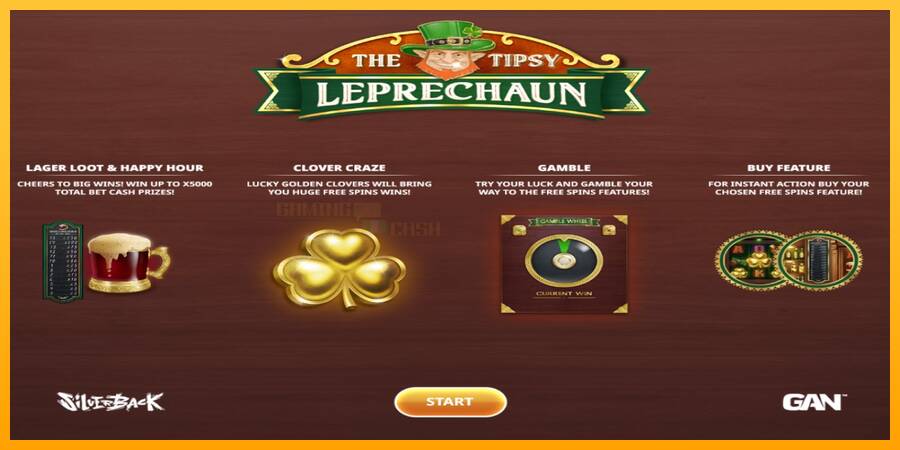 The Tipsy Leprechaun игрална машина за пари, снимка 1