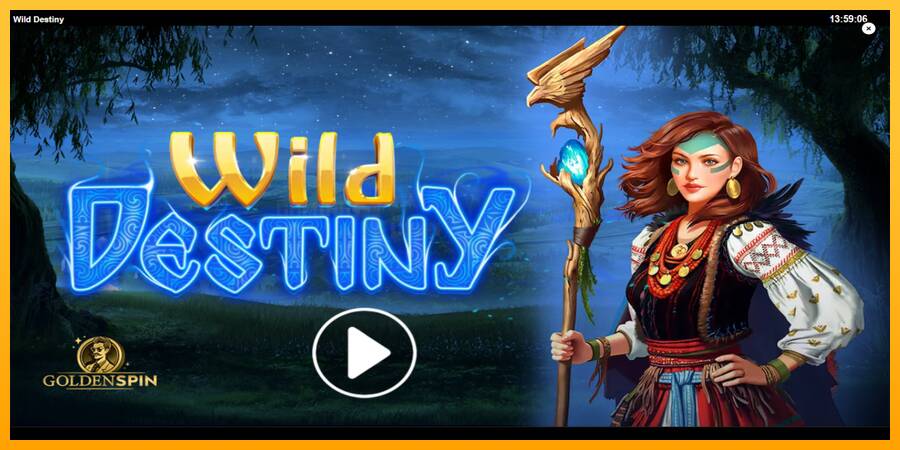 Wild Destiny игрална машина за пари, снимка 1