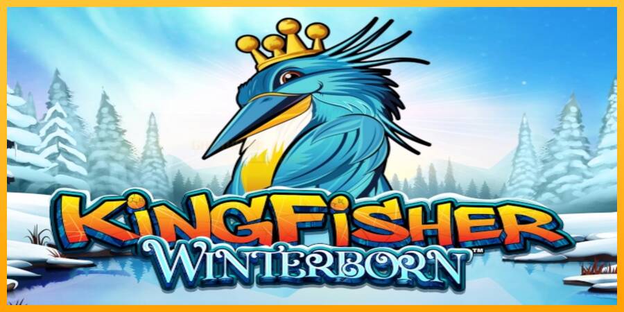 Kingfisher Winterborn игрална машина за пари, снимка 1