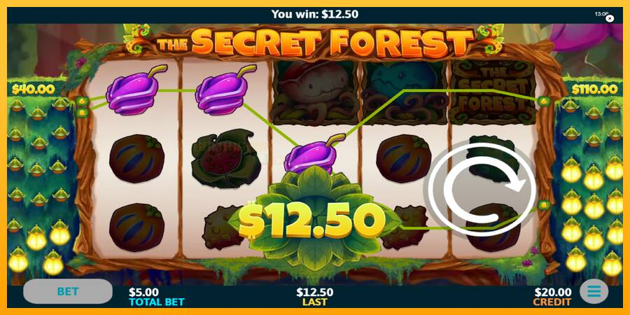 The Secret Forest игрална машина за пари, снимка 4