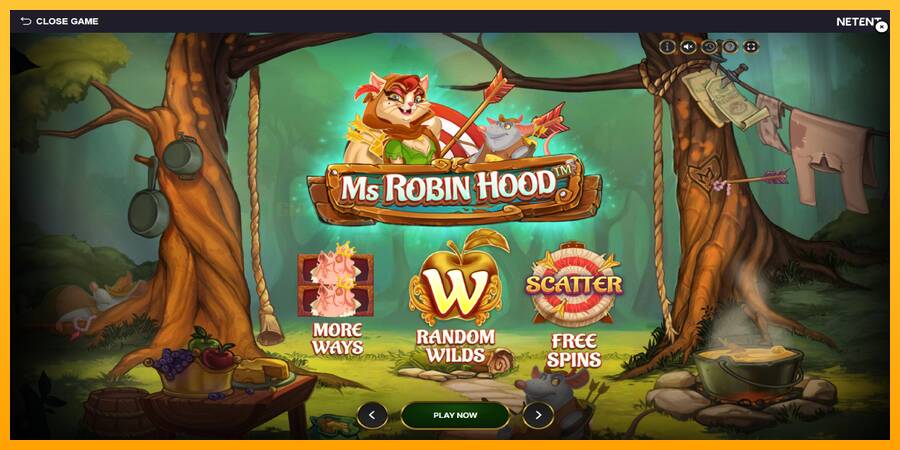 Ms Robin Hood игрална машина за пари, снимка 1