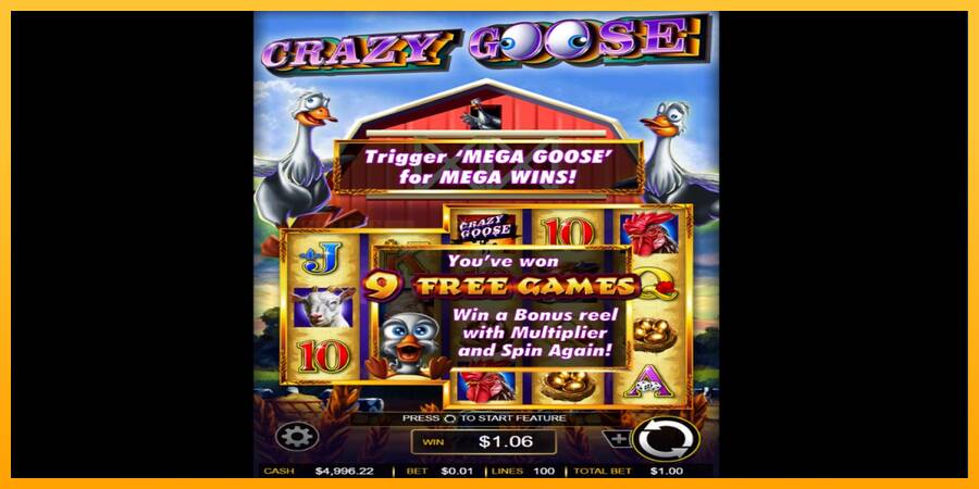 Crazy Goose игрална машина за пари, снимка 3