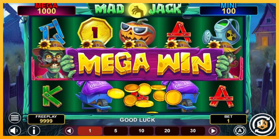 Mad Jack Hold & Win игрална машина за пари, снимка 2